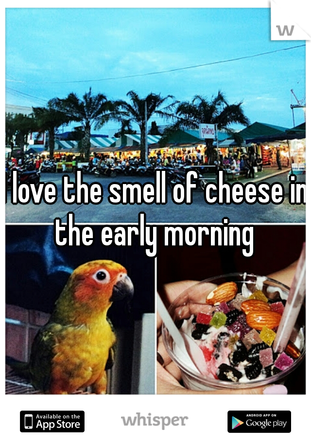 I love the smell of cheese in the early morning 