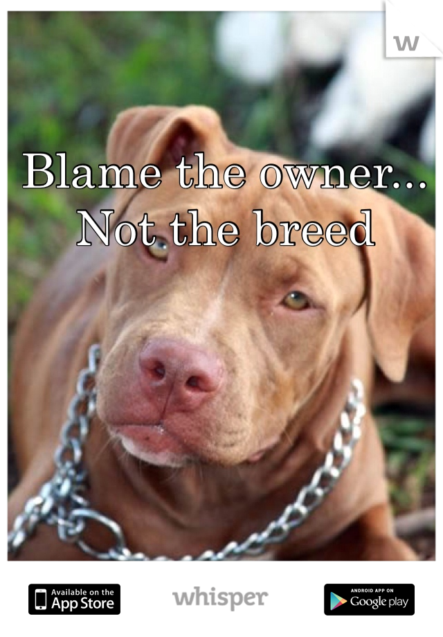 Blame the owner... Not the breed