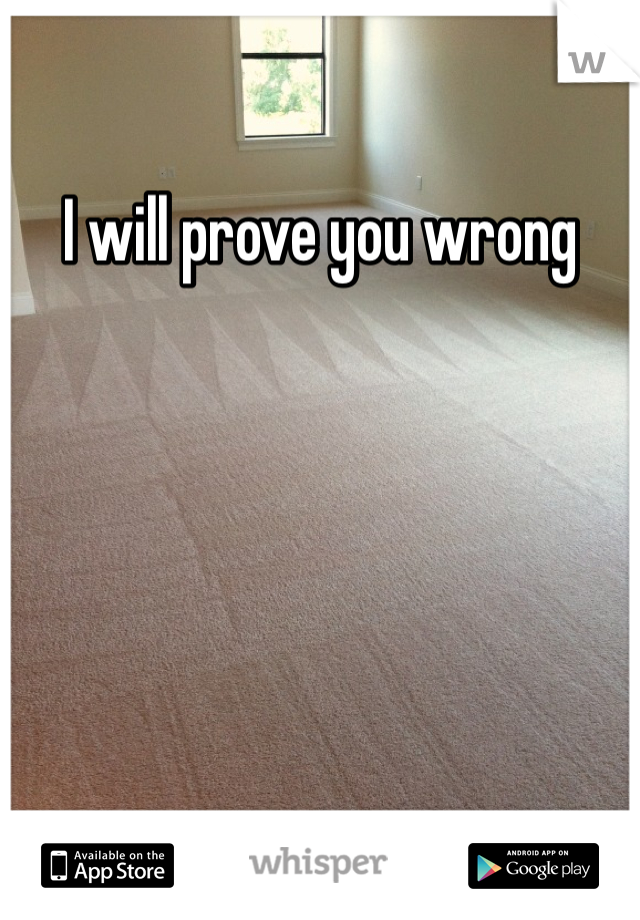 I will prove you wrong 