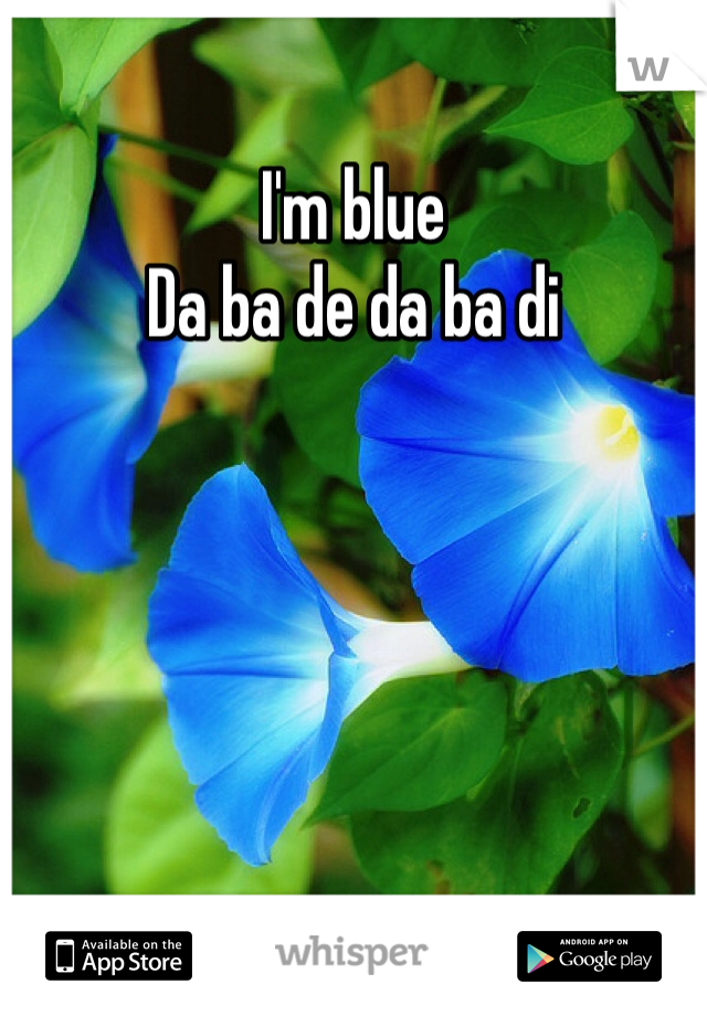 I'm blue
Da ba de da ba di