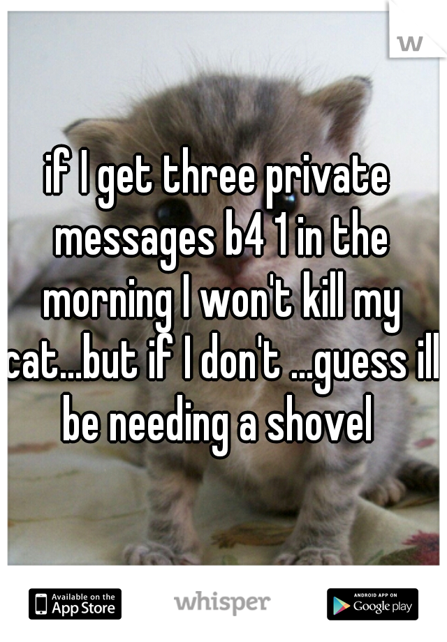 if I get three private messages b4 1 in the morning I won't kill my cat...but if I don't ...guess ill be needing a shovel 