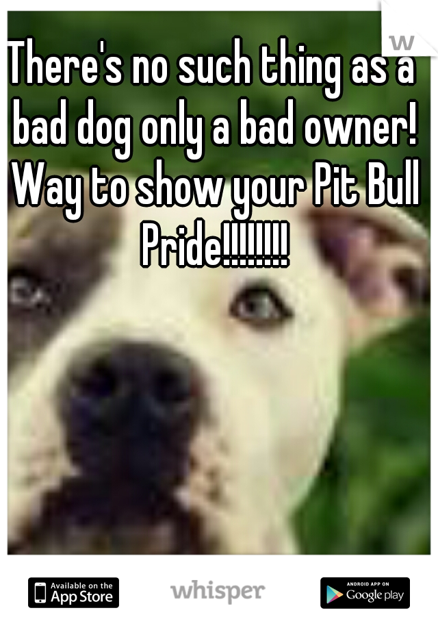 There's no such thing as a bad dog only a bad owner! Way to show your Pit Bull Pride!!!!!!!!