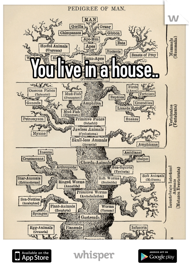 You live in a house..