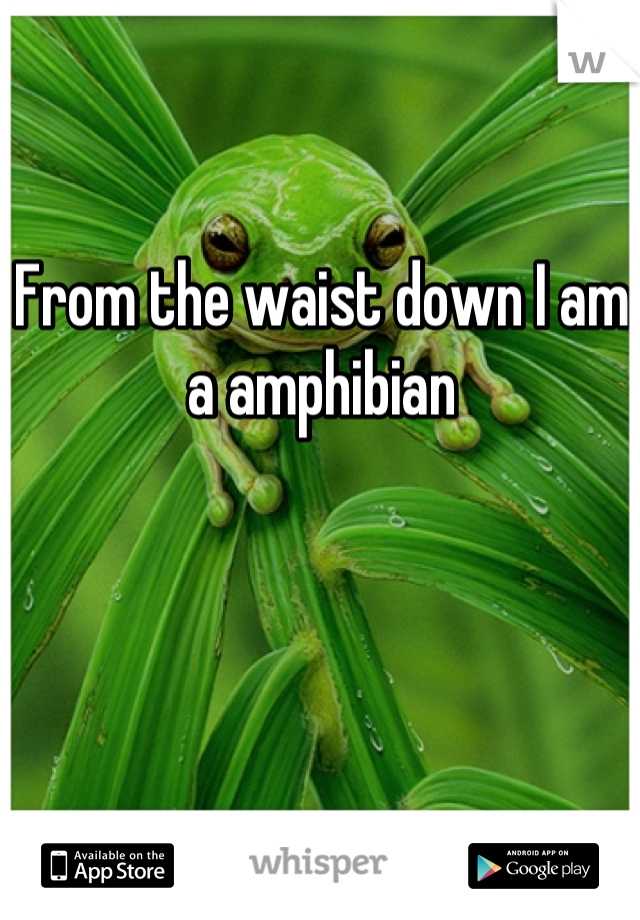 From the waist down I am a amphibian