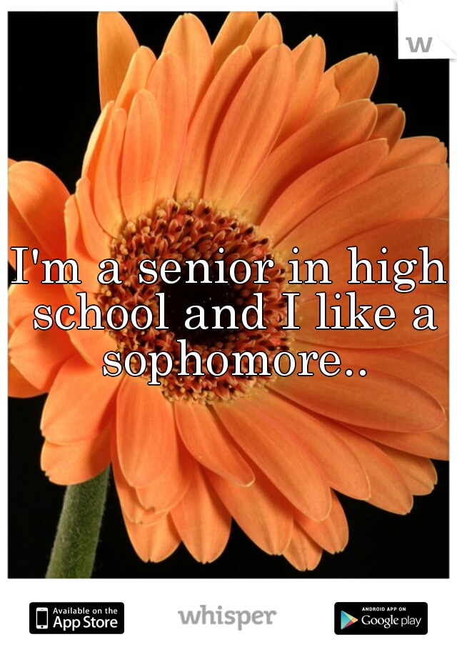 I'm a senior in high school and I like a sophomore..