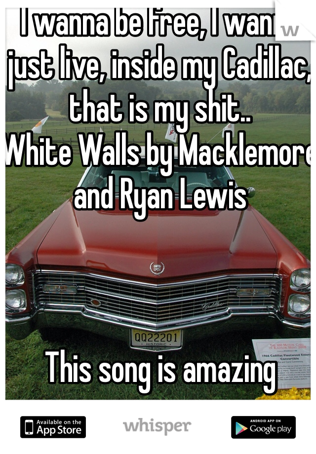 I wanna be free, I wanna just live, inside my Cadillac, that is my shit..
White Walls by Macklemore and Ryan Lewis



This song is amazing