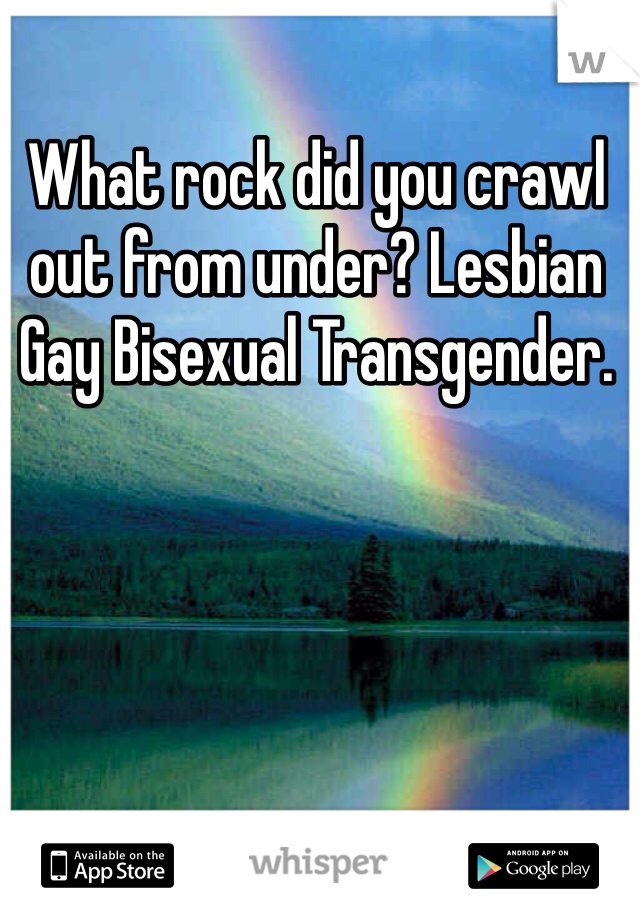 What rock did you crawl out from under? Lesbian Gay Bisexual Transgender. 
