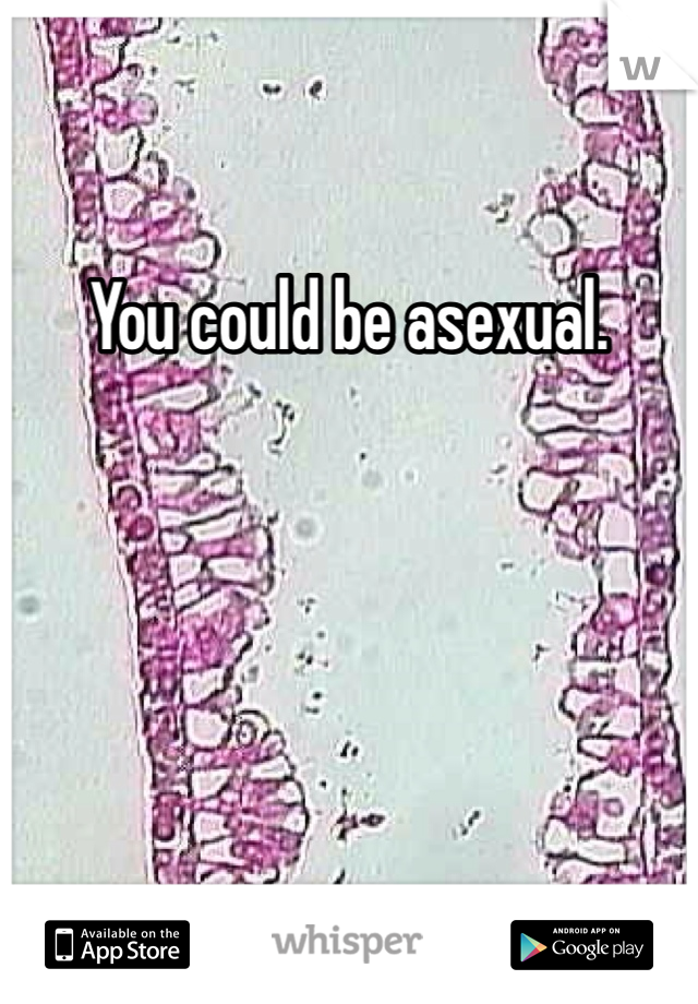 You could be asexual.