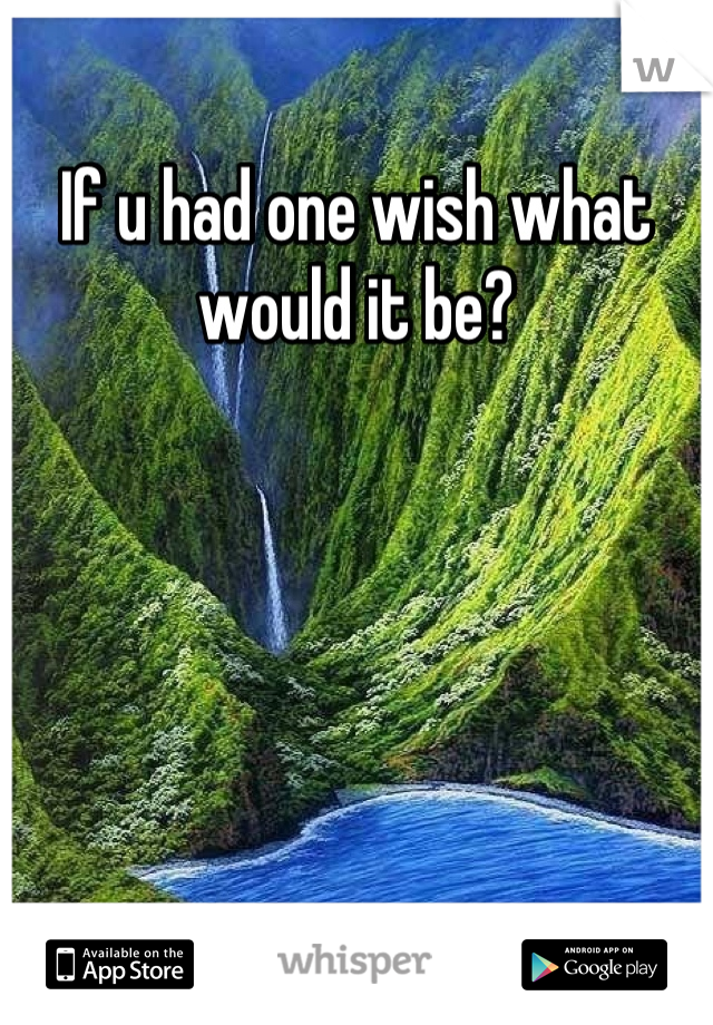 If u had one wish what would it be?