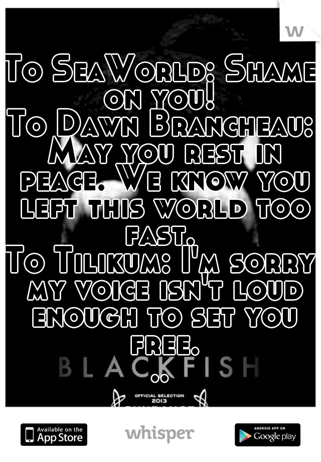 To SeaWorld: Shame on you! 
To Dawn Brancheau: May you rest in peace. We know you left this world too fast. 
To Tilikum: I'm sorry my voice isn't loud enough to set you free...
