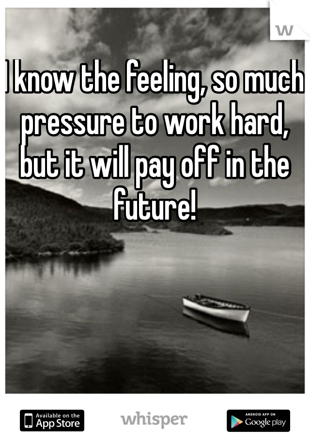 I know the feeling, so much pressure to work hard, but it will pay off in the future!