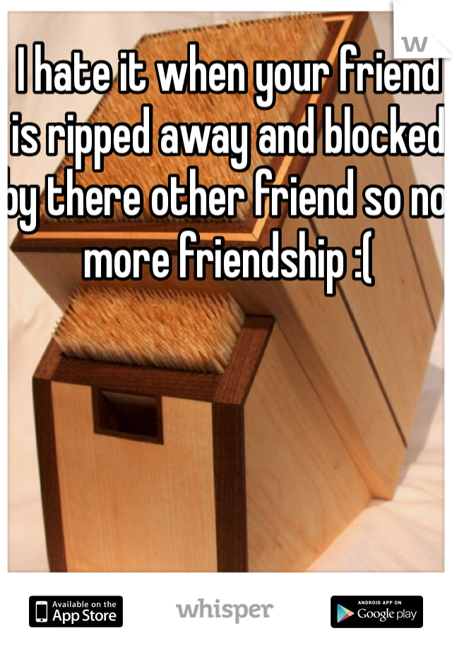 I hate it when your friend is ripped away and blocked by there other friend so no more friendship :( 