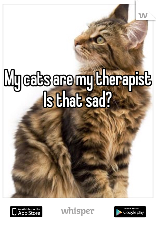 


My cats are my therapist
Is that sad? 