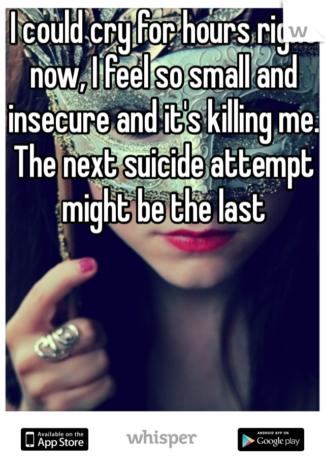 I could cry for hours right now, I feel so small and insecure and it's killing me. The next suicide attempt might be the last 