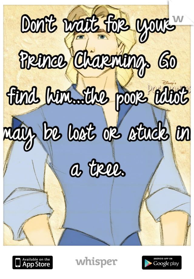 Don't wait for your Prince Charming. Go find him...the poor idiot may be lost or stuck in a tree. 