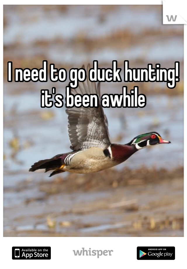 I need to go duck hunting! it's been awhile
