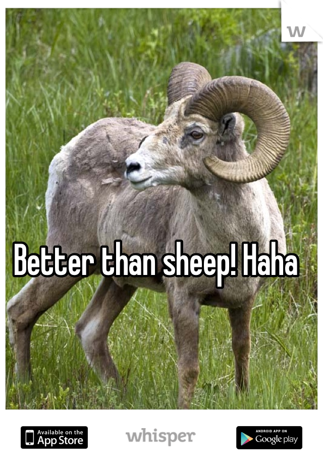 Better than sheep! Haha
