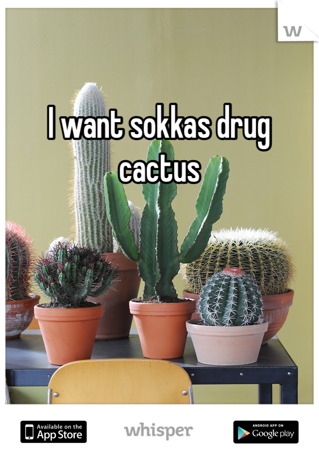 I want sokkas drug cactus 