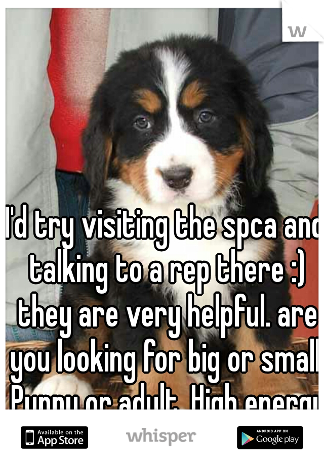 I'd try visiting the spca and talking to a rep there :) they are very helpful. are you looking for big or small. Puppy or adult. High energy or not?