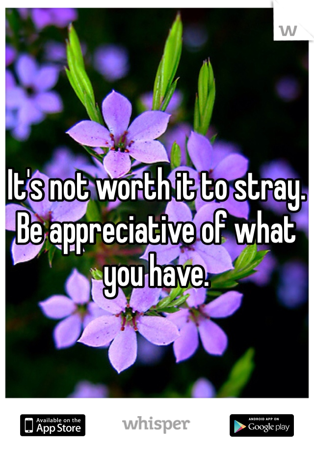 It's not worth it to stray. Be appreciative of what you have. 