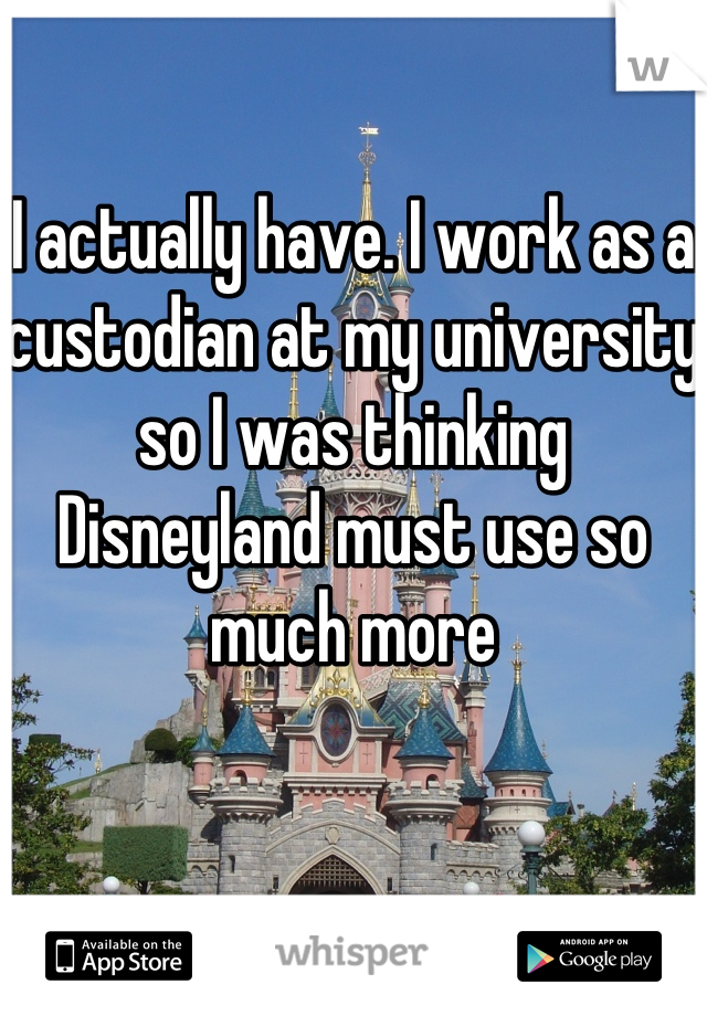 I actually have. I work as a custodian at my university so I was thinking Disneyland must use so much more