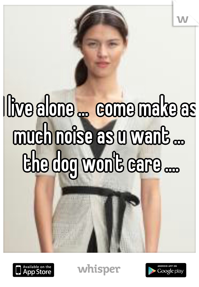 I live alone ...  come make as much noise as u want ...  the dog won't care ....