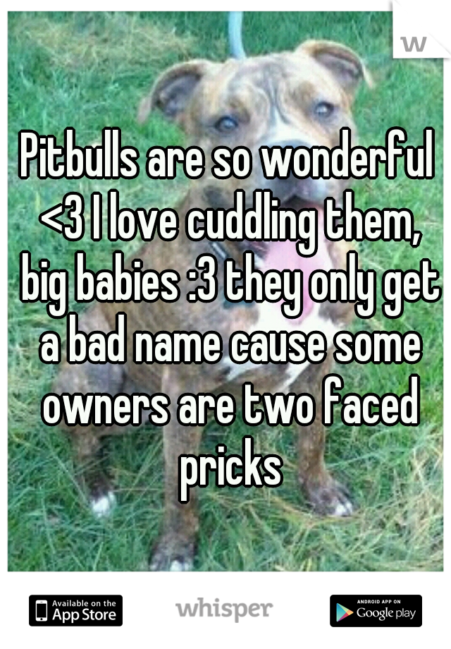 Pitbulls are so wonderful <3 I love cuddling them, big babies :3 they only get a bad name cause some owners are two faced pricks