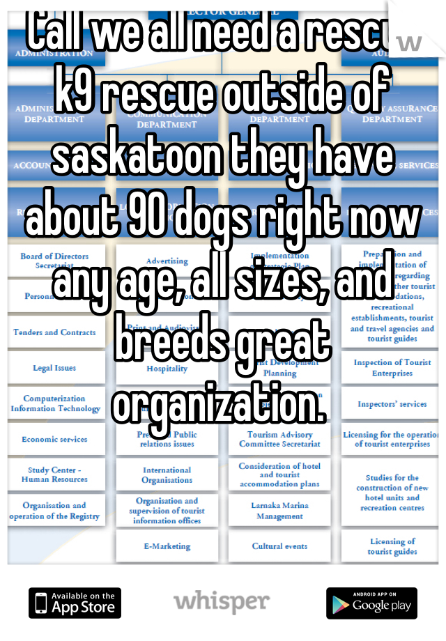 Call we all need a rescue k9 rescue outside of saskatoon they have about 90 dogs right now any age, all sizes, and breeds great organization. 