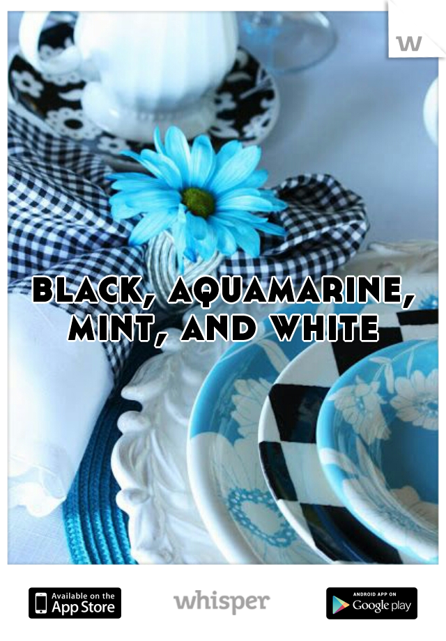 black, aquamarine, mint, and white 