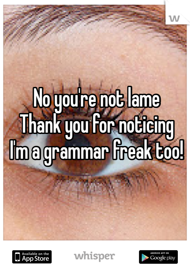 No you're not lame
Thank you for noticing 
I'm a grammar freak too!