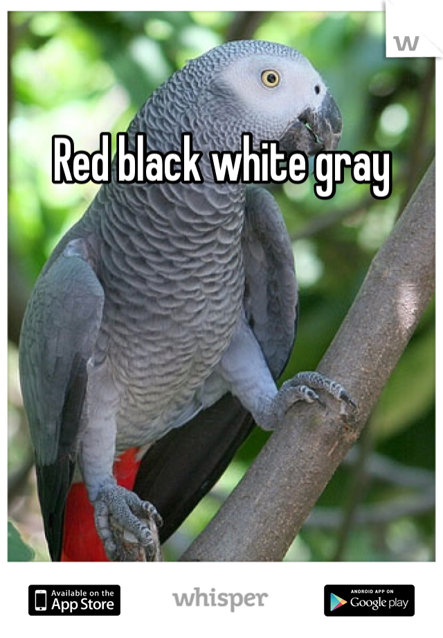 Red black white gray