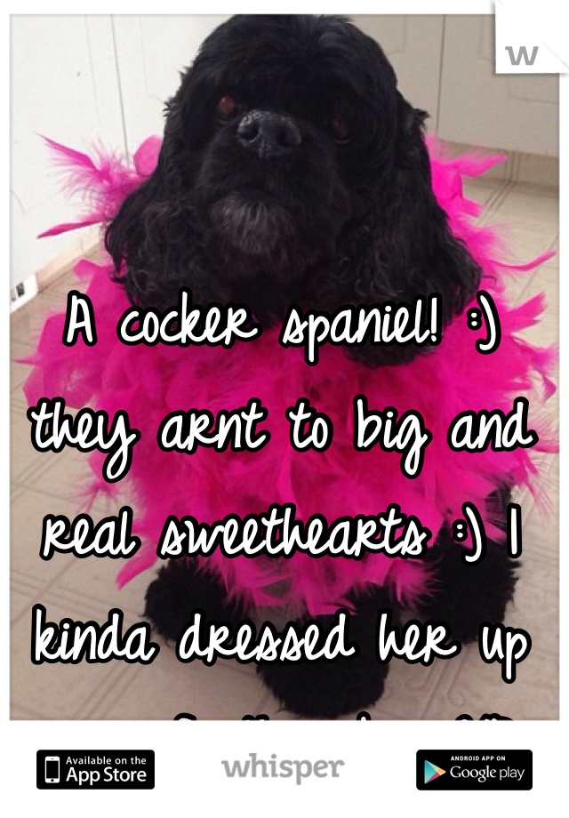 A cocker spaniel! :) they arnt to big and real sweethearts :) I kinda dressed her up in a feather boa XP
