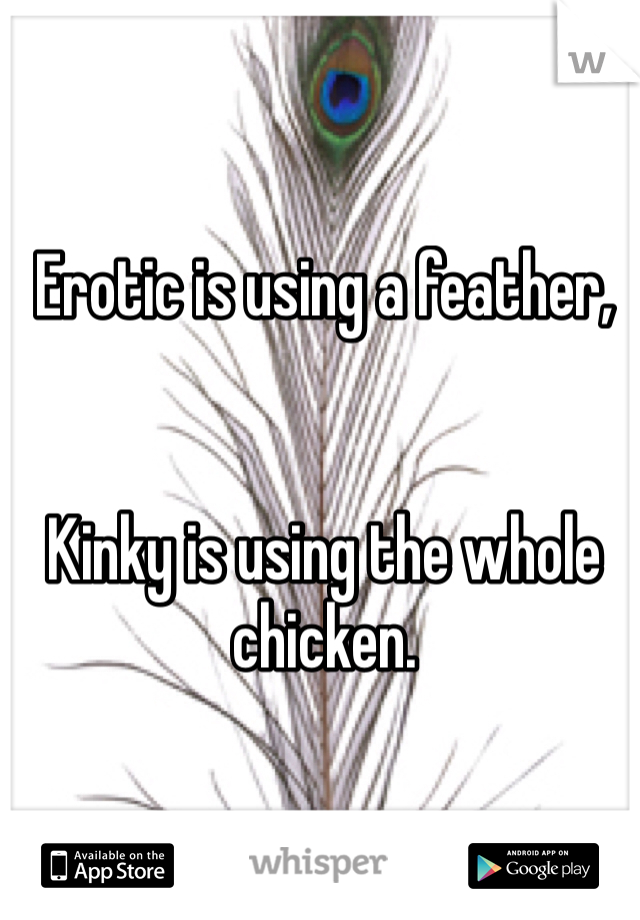 Erotic is using a feather, 


Kinky is using the whole chicken. 