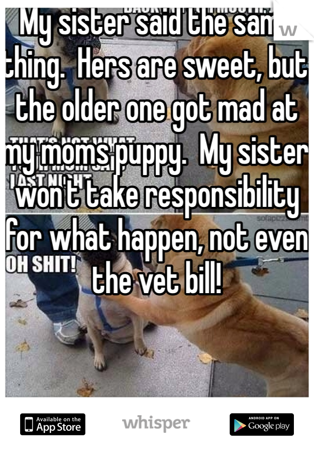 My sister said the same thing.  Hers are sweet, but the older one got mad at my moms puppy.  My sister won't take responsibility for what happen, not even the vet bill!