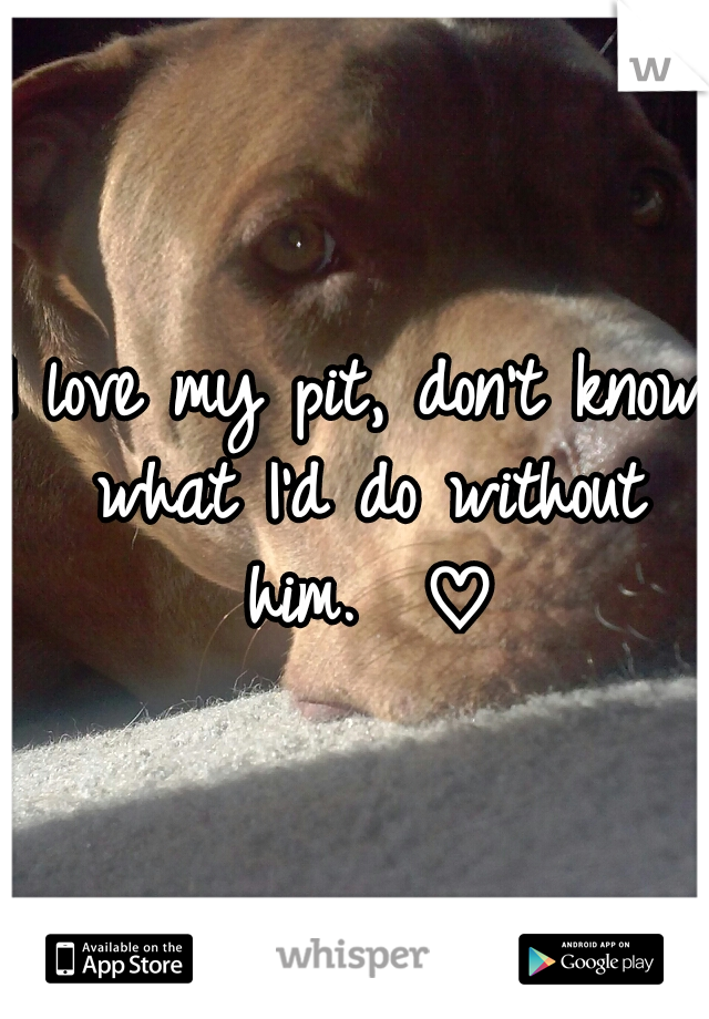 I love my pit, don't know what I'd do without him.  ♡