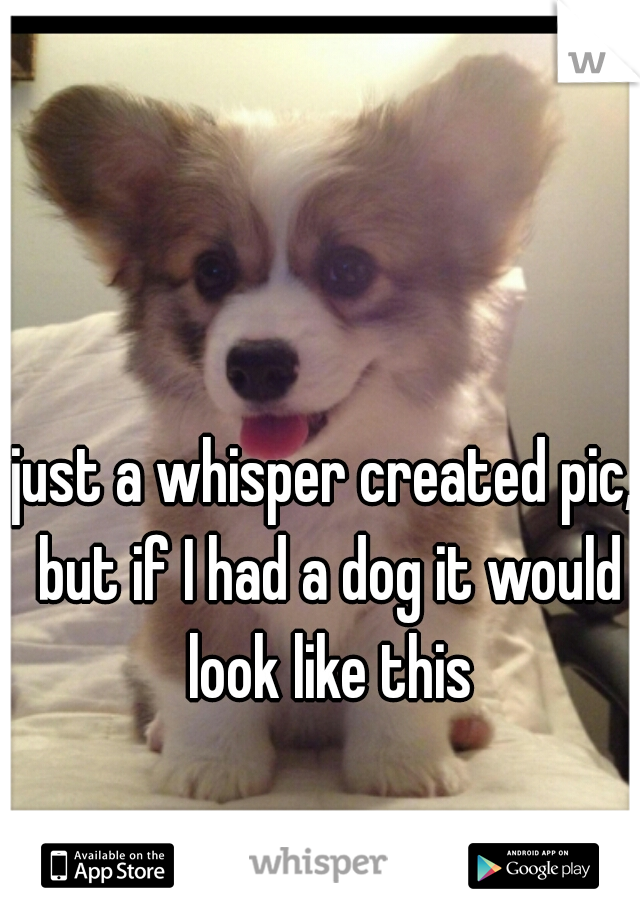 just a whisper created pic, but if I had a dog it would look like this