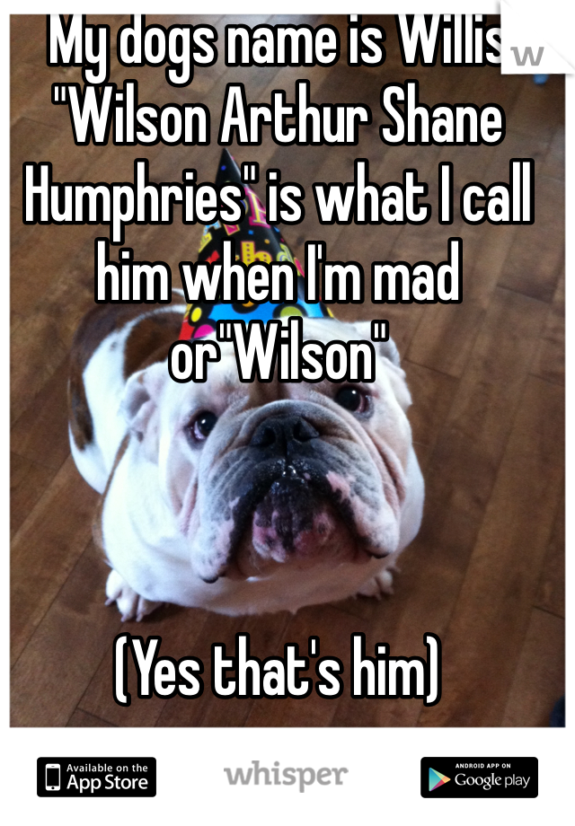 My dogs name is Willis
"Wilson Arthur Shane Humphries" is what I call him when I'm mad or"Wilson"



(Yes that's him)