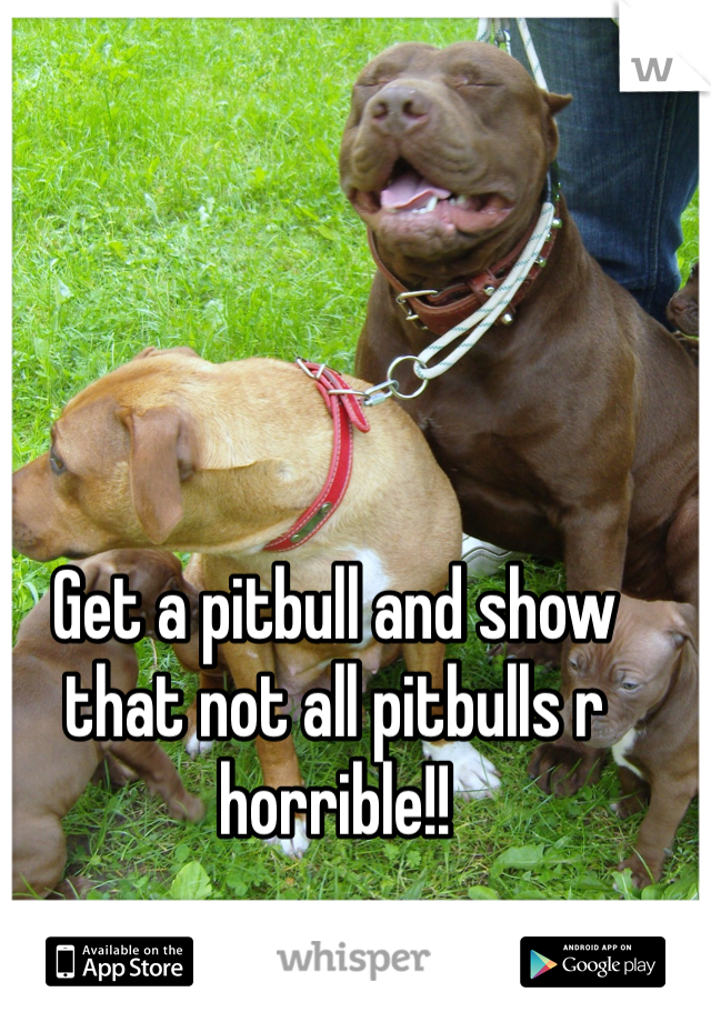 Get a pitbull and show that not all pitbulls r horrible!!