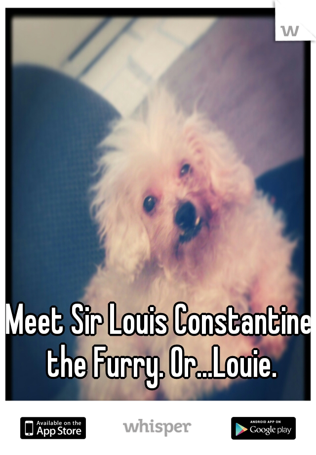 Meet Sir Louis Constantine the Furry. Or...Louie.