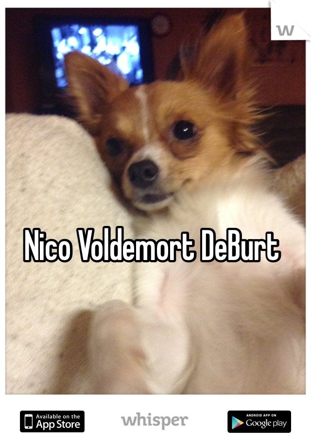 Nico Voldemort DeBurt