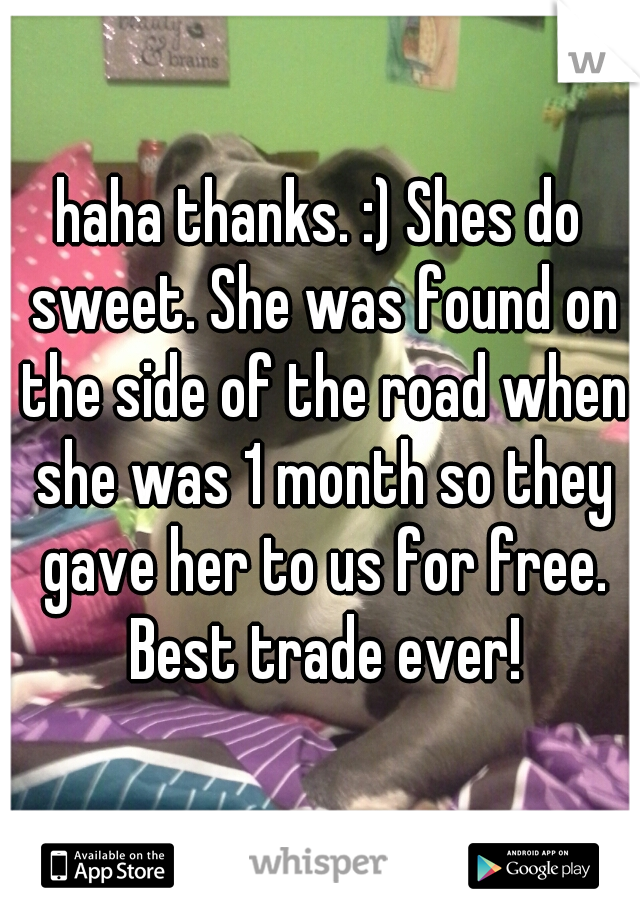 haha thanks. :) Shes do sweet. She was found on the side of the road when she was 1 month so they gave her to us for free. Best trade ever!