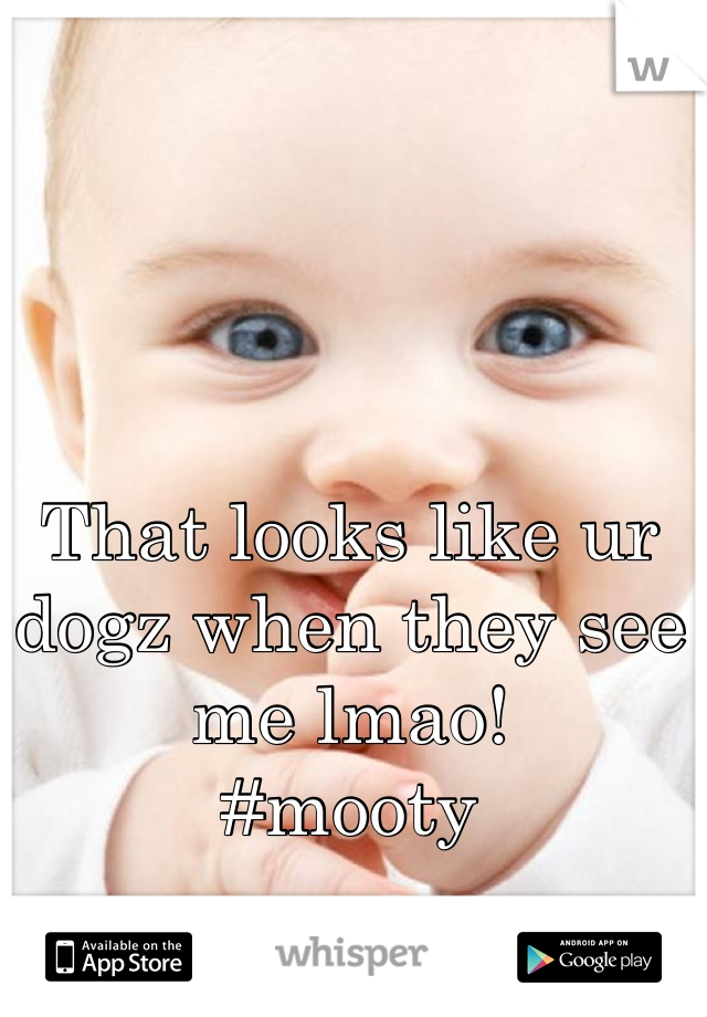 That looks like ur dogz when they see me lmao!
#mooty