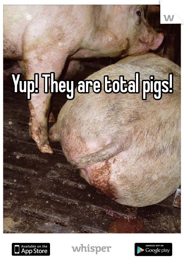 Yup! They are total pigs! 