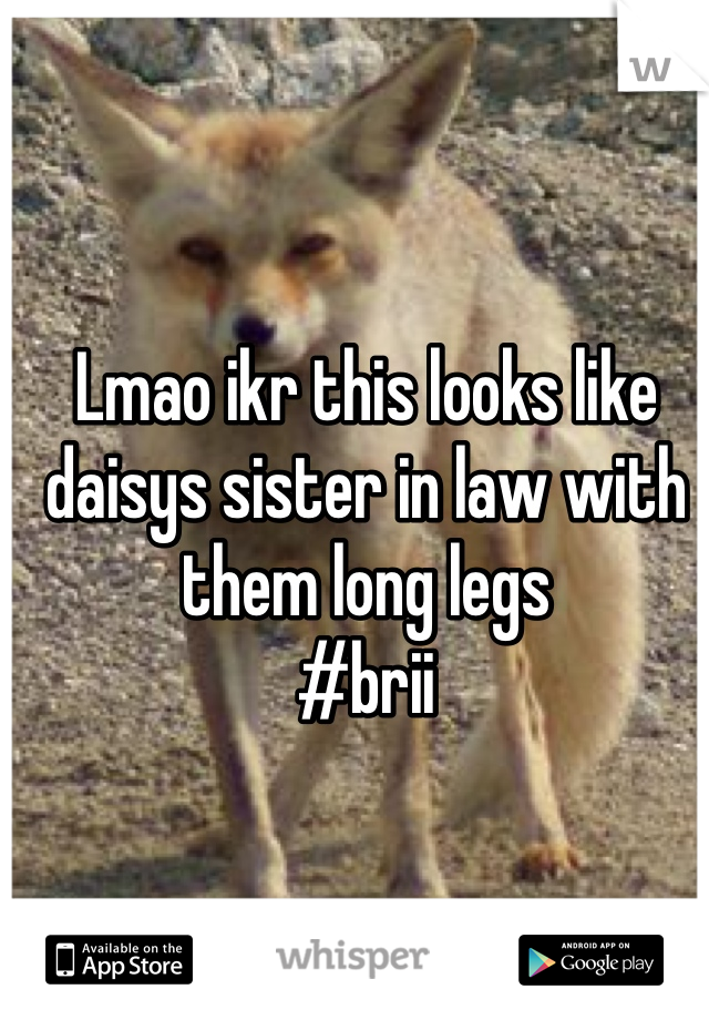 Lmao ikr this looks like daisys sister in law with them long legs
#brii