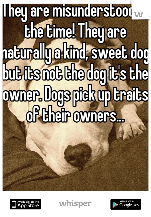 They are misunderstood all the time! They are naturally a kind, sweet dog but its not the dog it's the owner. Dogs pick up traits of their owners...