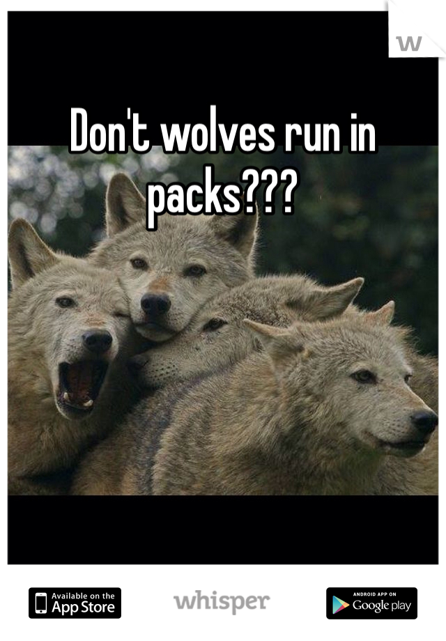 Don't wolves run in packs???
