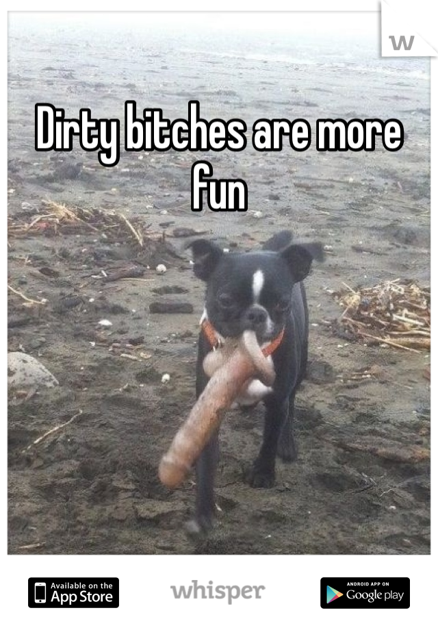 Dirty bitches are more fun