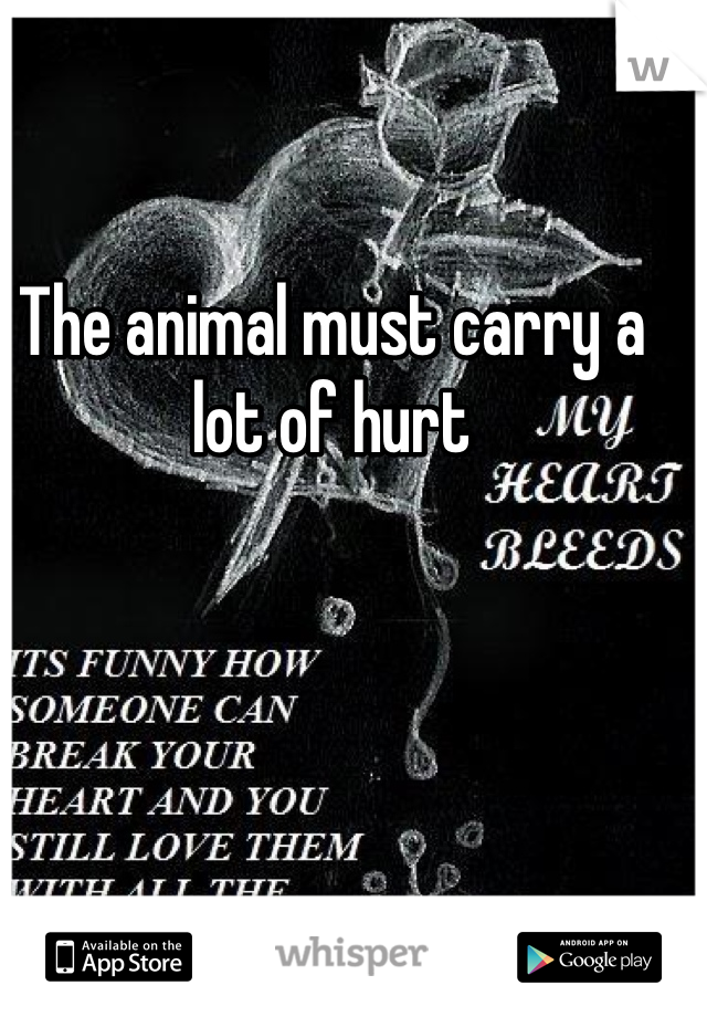 The animal must carry a lot of hurt