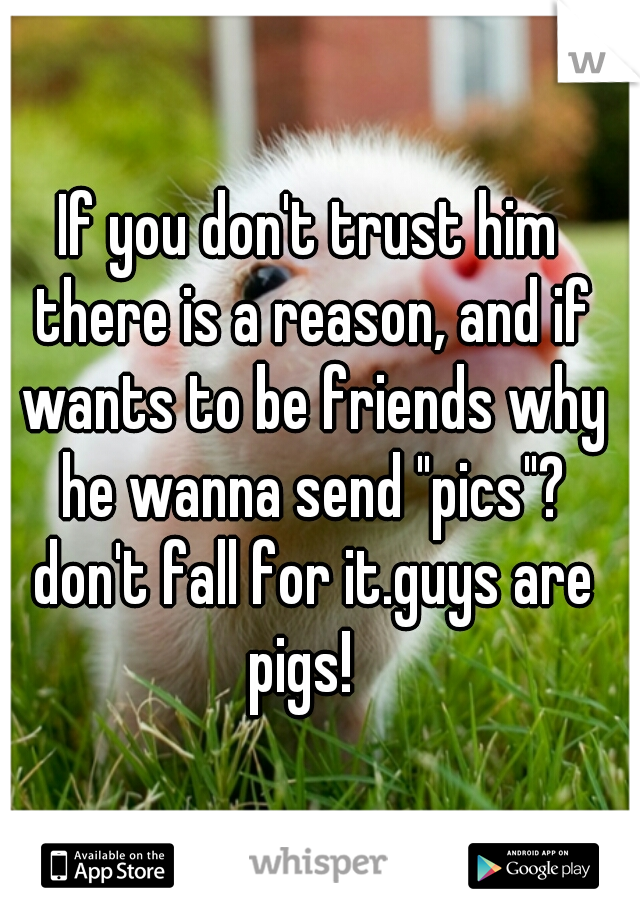 If you don't trust him there is a reason, and if wants to be friends why he wanna send "pics"? don't fall for it.guys are pigs!  