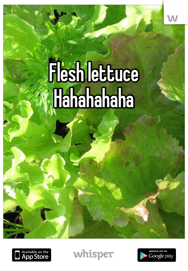 Flesh lettuce 
Hahahahaha